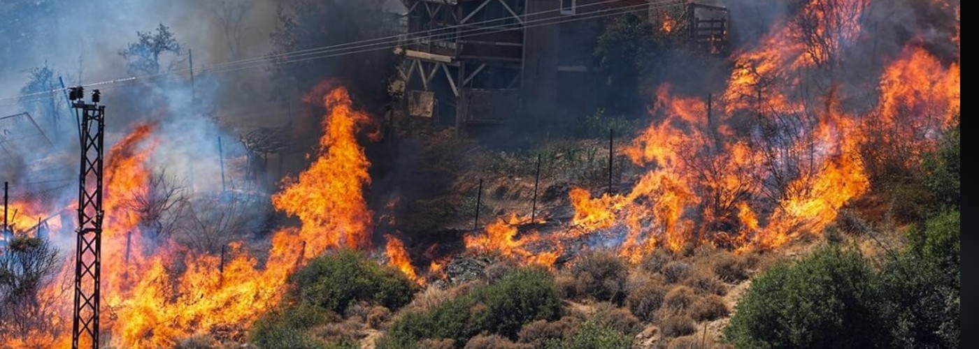 Current State of Forest Fires in Turkey