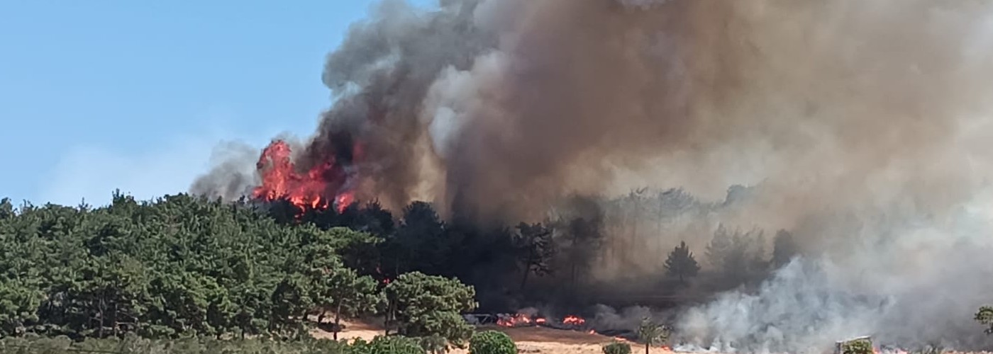 Wildfire in Canakkale